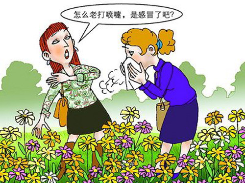pollen-allergies